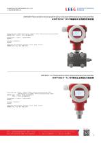 LEEG Pressure Transmitter Brochure - 7