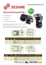 IE3 Premium Efficiency Gear Motor - 1