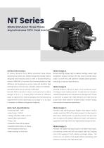 NT Series NEMA Standard Three Phase Asynchronous TEFC Cast Iron Motors - 2