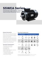 SSWEA Series (IE4) Super Premium Efficiency Three Phase Asynchronous Induction Aluminum Motor - 2