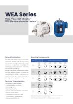 WEA Series (IE2) High Efficiency Three Phase Asynchronous Induction Aluminum Motors - 2