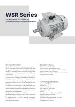 WSR Series (IE4) Super Premium Efficiency Synchronous Reluctance Motors ...