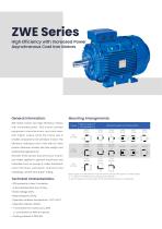 ZWE Series (IE2) High Efficiency with Increased Power Asynchronous Cast Iron Motors-2