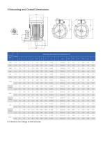 ZWE Series (IE2) High Efficiency with Increased Power Asynchronous Cast Iron Motors-7
