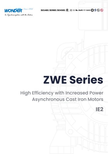 ZWE Series (IE2) High Efficiency with Increased Power Asynchronous Cast Iron Motors