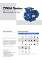 ZWEA Series (IE2) High Efficiency with Increased Power Asynchronous Aluminum Motors - 2