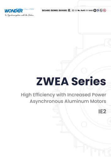 ZWEA Series (IE2) High Efficiency with Increased Power Asynchronous Aluminum Motors