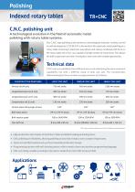 Automatic buffing, polishing and grinding machines-7