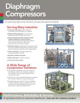 Diaphragm Compressors Fuel Cell - 1