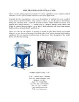 Footware Mould Cleaning-1