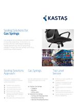 Sealing Solutions for Gas Springs-5