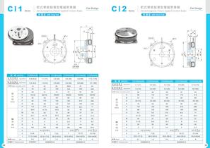 Electromagnetic Friction Disc Clutch Brake - 16