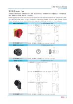 DECA Handle Type Cam Switches - 2