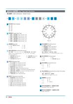 DECA Key Type Cam Switches-1