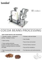 IB «nibs»-1