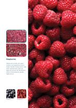 Fruit and Vegetable Solution Brochure - 5