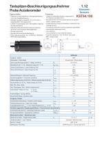 Probe Accelerometer_2008 - 1
