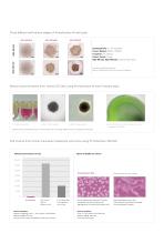 PRIMESURFACE® ULTRA LOW ATTACHMENT 3D CELL CULTURE PLATES AND DISHES - 3