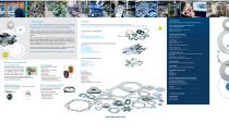 GRIS group-2