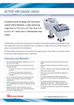 Active Ion Gauge Datasheet-1