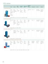 Neles Flow Control Solutions - 6