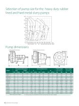 Orion Series of Heavy & Mining Duty Horizontal Slurry Pumps-10