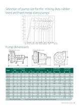 Orion Series of Heavy & Mining Duty Horizontal Slurry Pumps-11