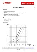 BRASS CHECK VALVE - 2