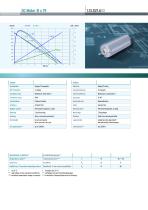 DC Motor 31 x 75 - 2