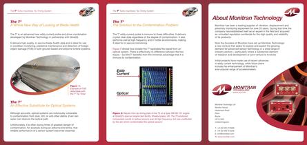 T3 Eddy Current Probe and Driver - 2