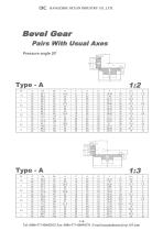Bevel Gear-2
