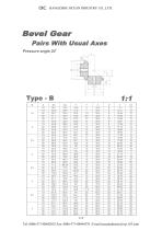 Bevel Gear-4