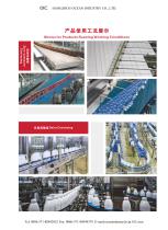Engineering Conveyor Chain & Belt-27