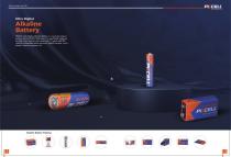 2025 pkcell brochure-8
