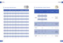 Disposable lithium battery brochure-12