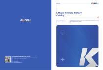 Disposable lithium battery brochure