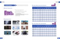 Disposable lithium battery brochure-6