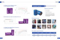 Disposable lithium battery brochure-7