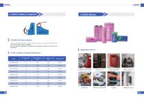 Disposable lithium battery brochure-8