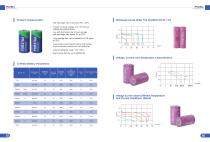 Disposable lithium battery brochure-9