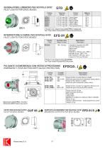 COMBINATION EFDC.. - Exd IIC-4