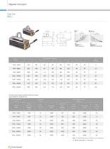 permanent magnetic lifter-2