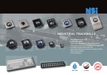 industry brochure-3