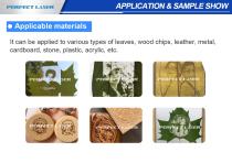 Perfect Laser - 10W Small Portable Automatic Laser Engraving Machine  PEDK-30 for Leaves-6