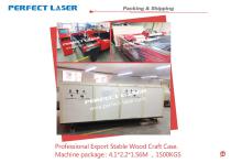 Perfect Laser-CNC Flat-bed Plasma cutting machine PE-CUT-A2 - 14