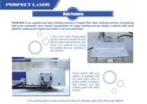 Perfect Laser fiber laser marking machine with electric shift working table PEDB-400E - 4