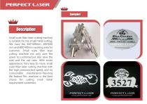 Perfect Laser-Small Scale Fiber Laser Cutting Machine PE-F4040  6060 6040 - 5