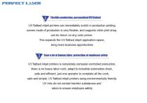 Perfect Laser- UV Flatbed Printer-PE-UV0609 - 11