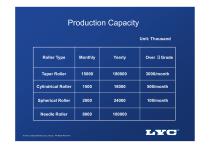 LYC Bearing Components - 17