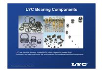 LYC Bearing Components - 4